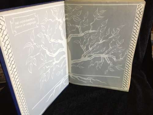 Websters New Twentieth Century Dictionary Unabridged 2nd Edition