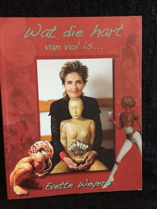 Wat Die Hart Van Vol Is deur Evette Weyers | Great condition