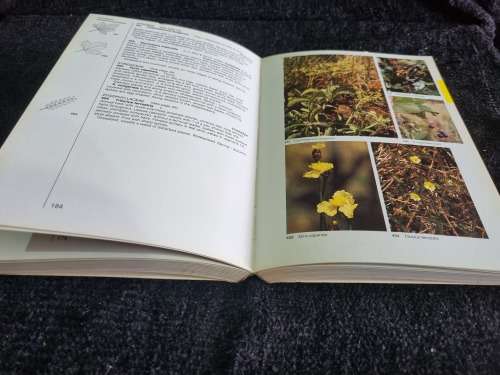 Field Guide to the Wild Flowers of The Witwatersrand and Pretoria Region by Braam Van Wyk,Sasa Malan