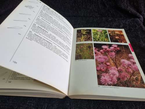Field Guide to the Wild Flowers of The Witwatersrand and Pretoria Region by Braam Van Wyk,Sasa Malan