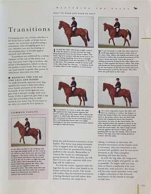 Riding a Horse by Debby Sly