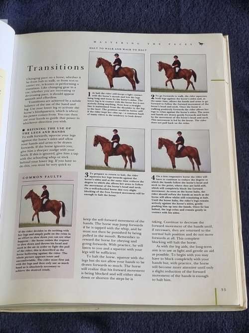 Riding a Horse by Debby Sly