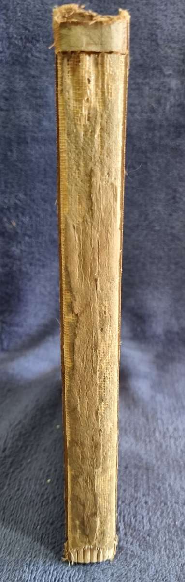 Zulu Paradox by Hugh Tracey