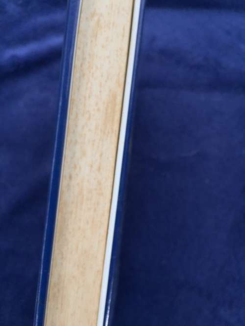 Homeopathic Medicine Today by Trevor M. Cook Health