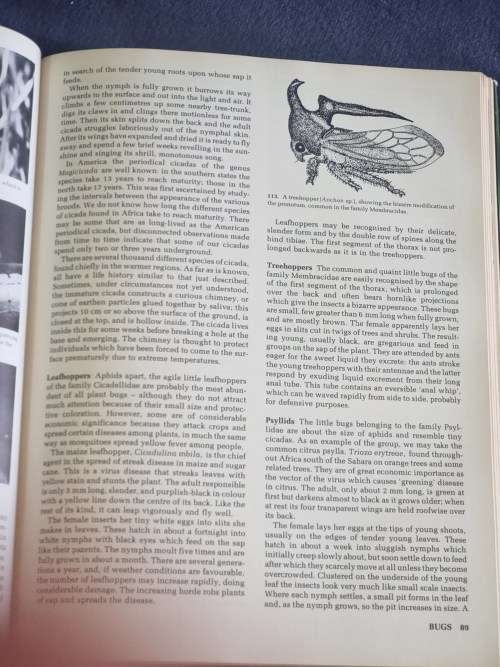 African Insects Life by S H Skaife