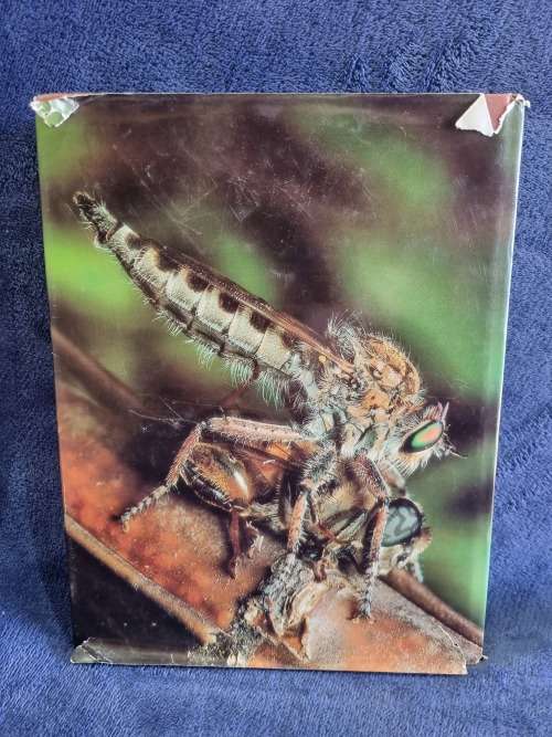 African Insects Life by S H Skaife