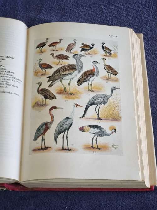 Roberts Birds of South Africa by Mclachlan and Liversidge 1971