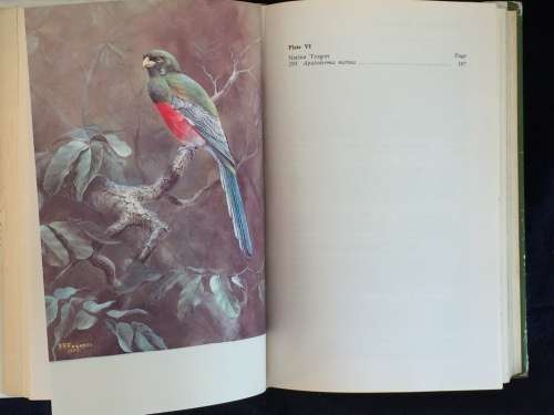 The Birds of Zimbabwe by Michael P Stuart Irwin Hard Cover 1981 | Rhodesiana