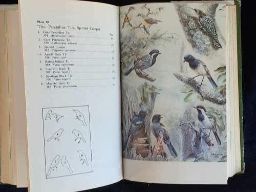 The Birds of Zimbabwe by Michael P Stuart Irwin Hard Cover 1981 | Rhodesiana