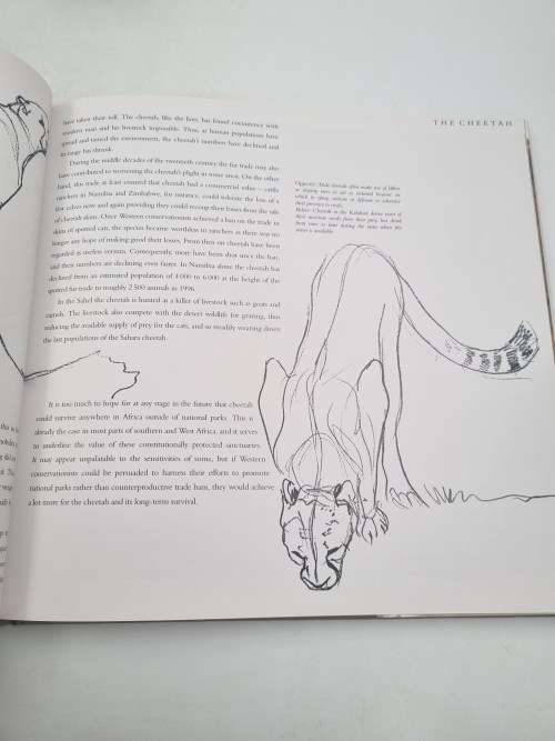 Cats of Africa - Paul Bosman and Anthony Hall-Martin