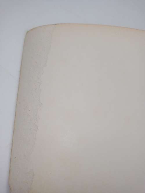 Diane Arbus ~ An Aperture Monograph | 80 Black / White Photographs