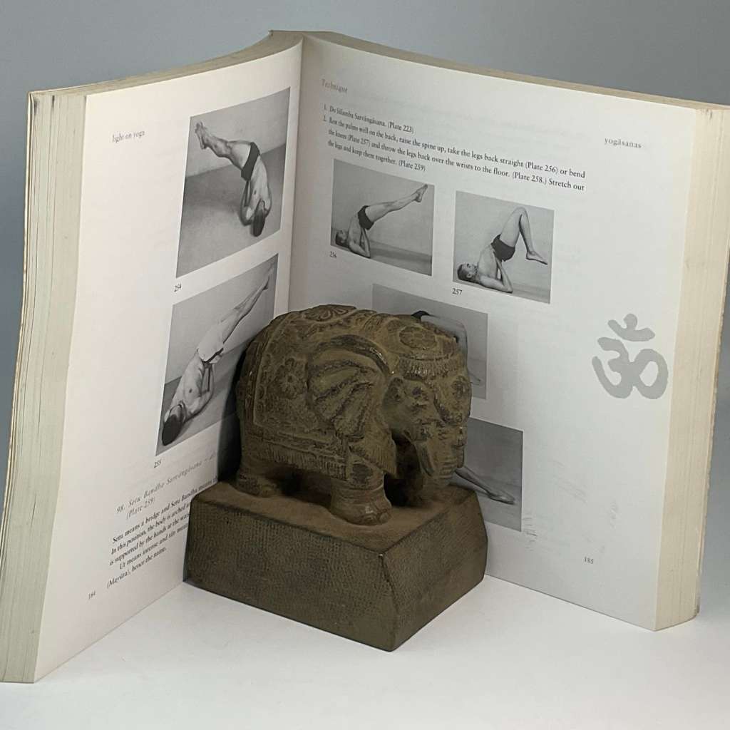 Light on Yoga by BKS Iyengar | Yoga Classic