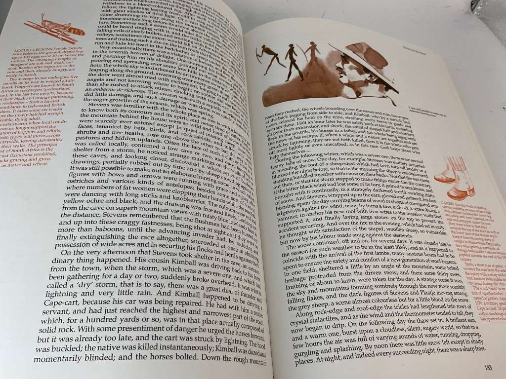 The Best of South African Short Stories