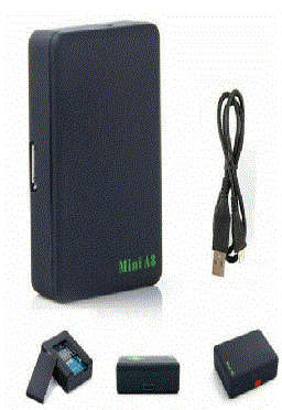 Small Mini Global Locator Real Time Car Kid Pet GPS  Tracking Device
