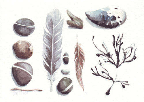 Beachcombing Series 'The mussel shell', Original watercolor painting