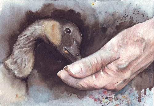 Original watercolour art Hands with Duck painting