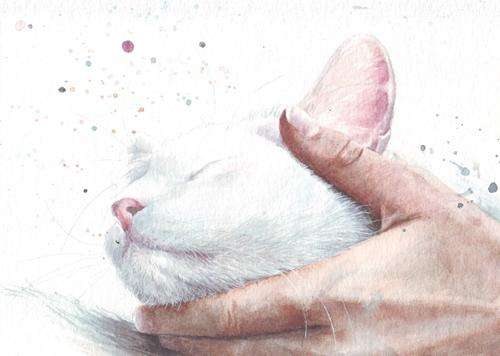 HM101 Original  painting watercolor painting White Cat by Helga McLeod