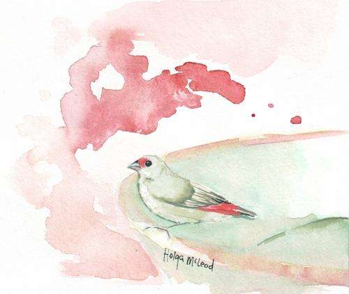 XMAS SALE Early evening bird