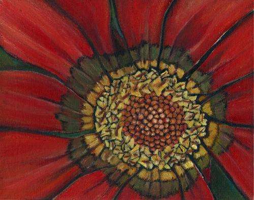 Gazania botanical painting