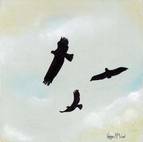 Summer sky with three birds