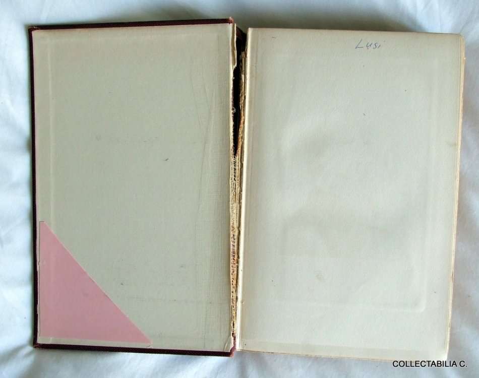 THE ADVENTURES OF HUCKLEBERRY FINN, by Mark Twain, Harper Bros., 1901, new plates.