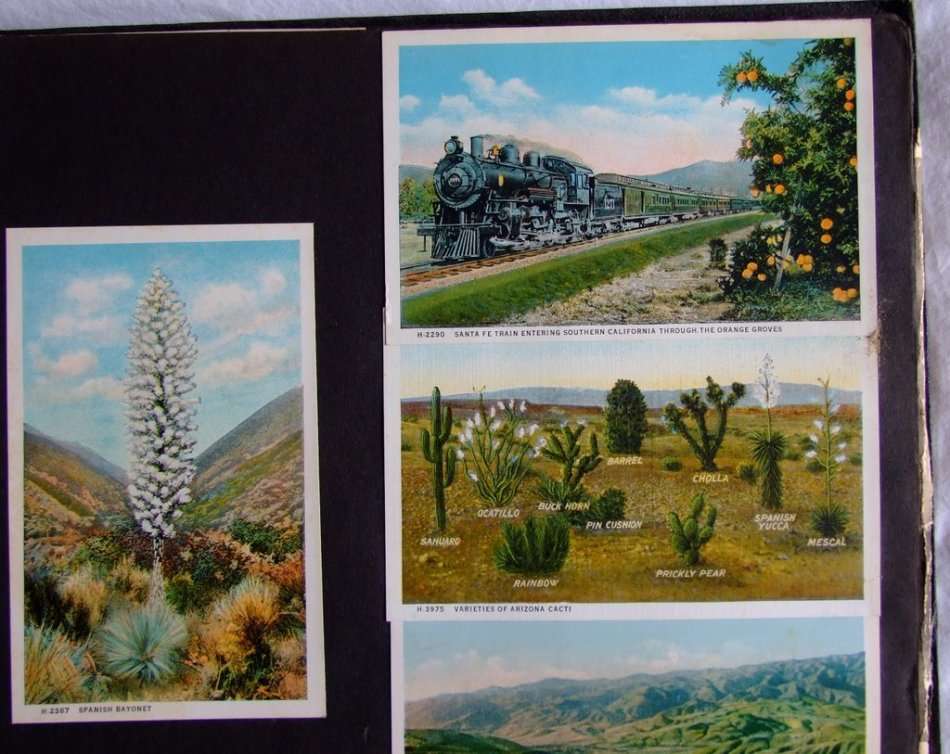 "Empress of Australia"  Photographs & Postcards from this Canadian Pacific ship's 1935 World Cruise