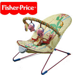 Fisher-Price Baby Play and Bouncer