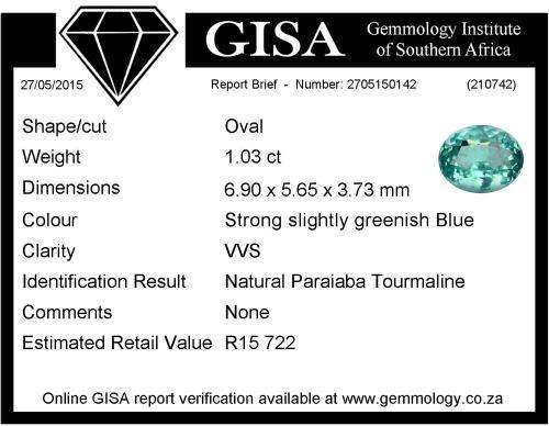 1.03CT CERTIFIED PARAIBA TOURMALINE [BRAZIL]