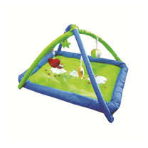 Baby Play Gym