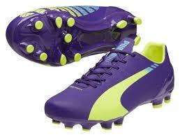 Puma EvoSpeed 4.3 FG