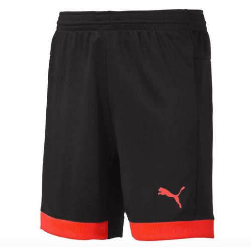 Puma IT EvoTRG Shorts