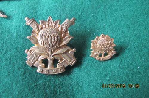 SOUTH AFRICA - WWII AND LATER - REGIMENT SUID WESTELIKE DISTRIKTE CAP & MESS DRESS COLLAR BADGE
