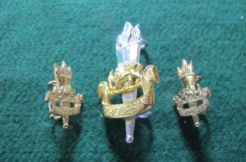 RHODESIA -  BUSH WAR. - RHODESIA  ARMY EDUCATIONAL CORPS  - CAP & COLLARS