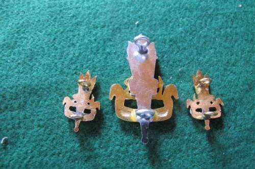 RHODESIA -  BUSH WAR. - RHODESIA  ARMY EDUCATIONAL CORPS  - CAP & COLLARS