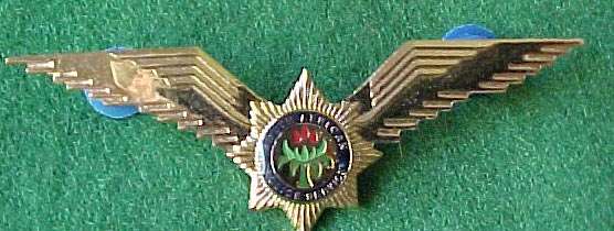 SOUTH AFRICA POLICE HELICOPTER PILOTS WINGS METAL