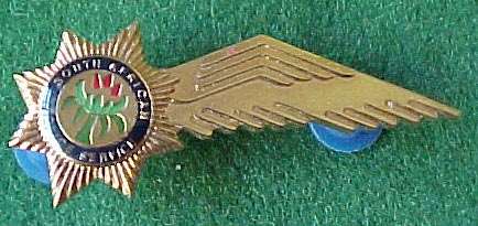 SOUTH AFRICA POLICE HELICOPTER NAVIGATORS WINGS METAL