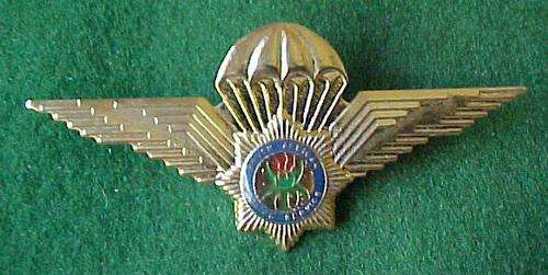 SOUTH AFRICA POLICE-  SPECIAL TASK FORCE METAL PARACHUTE WINGS