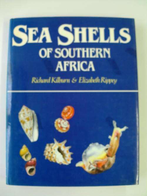 Sea Shells Of Southern Africa