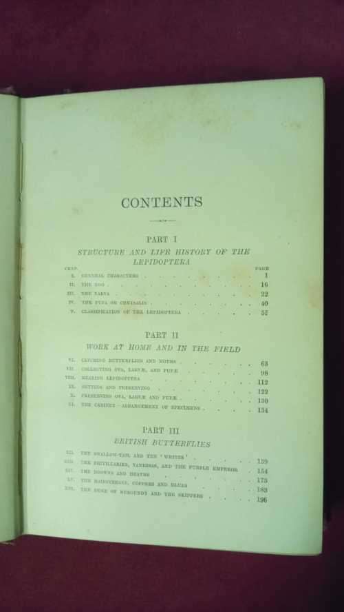 Butterflies and Moths (British)