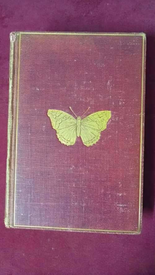 Butterflies and Moths (British)