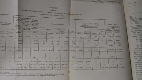 Handbook on Race Relations in South Africa (1949)