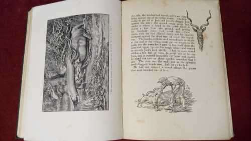 Jock of the Bushveld