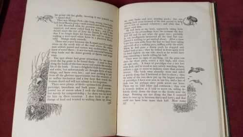 Jock of the Bushveld