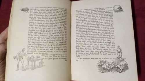 Jock of the Bushveld