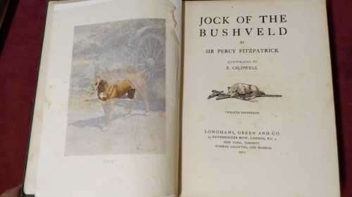 Jock of the Bushveld