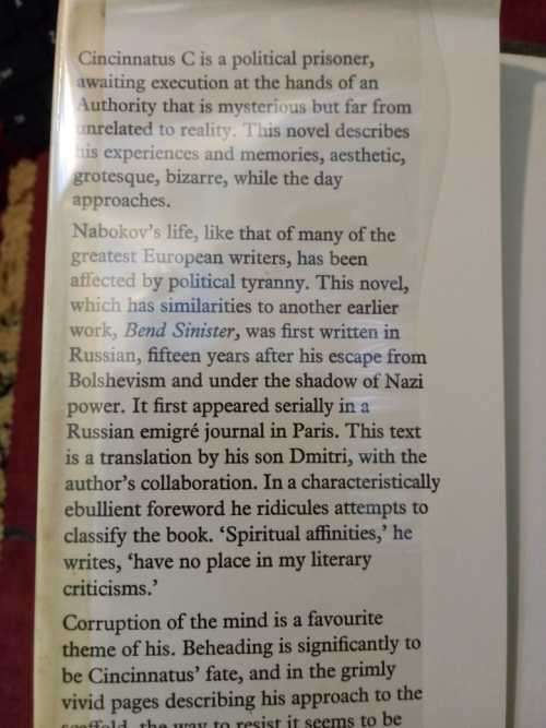 Invitation To A Beheading