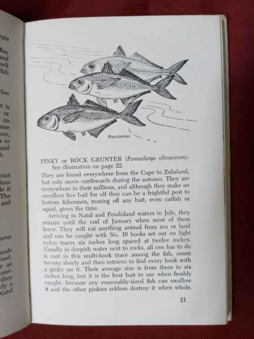 Salt-water Fish and Fishing in Southern Africa (signed copy)