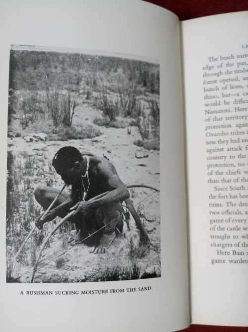 The Coast of Treasure