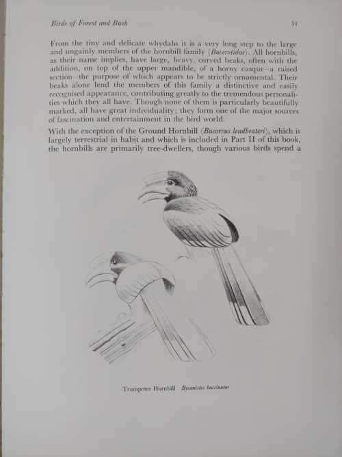 Calburn`s Birds of Southern Africa