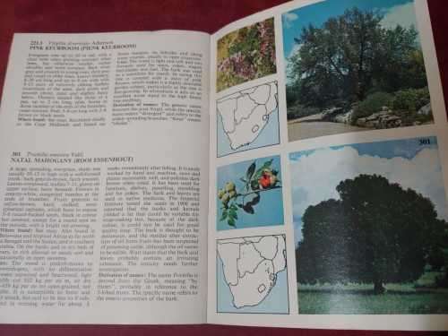 Know Your Trees - A Selection of Indigenous South African Trees